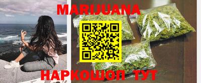 сатива Новоалександровск
