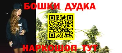 сатива Новоалександровск