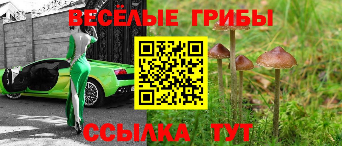 Галлюциногенные грибы ЛСД  Вход с VPN  Псилоцибиновые грибы Cubensis  Мурманск 